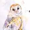 Barn Owl Tutorial Jennifer Rose Art