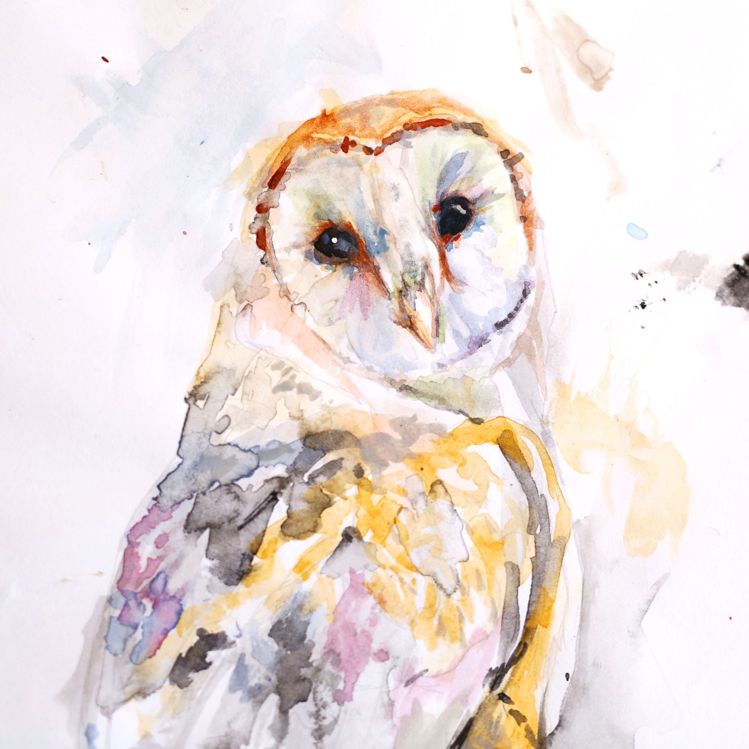 Barn Owl Tutorial Jennifer Rose Art